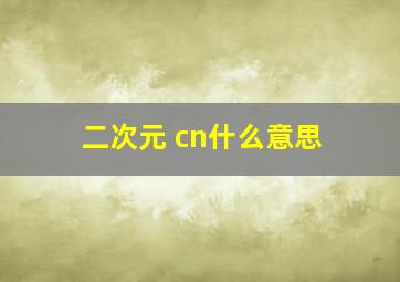 二次元 cn什么意思